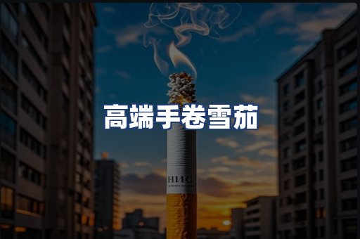高端手卷雪茄